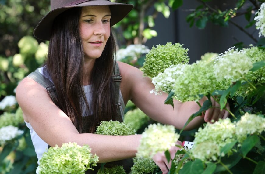 Photo Gardening tools