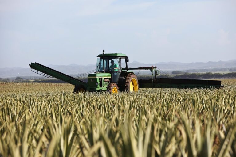 Photo Crop rotation