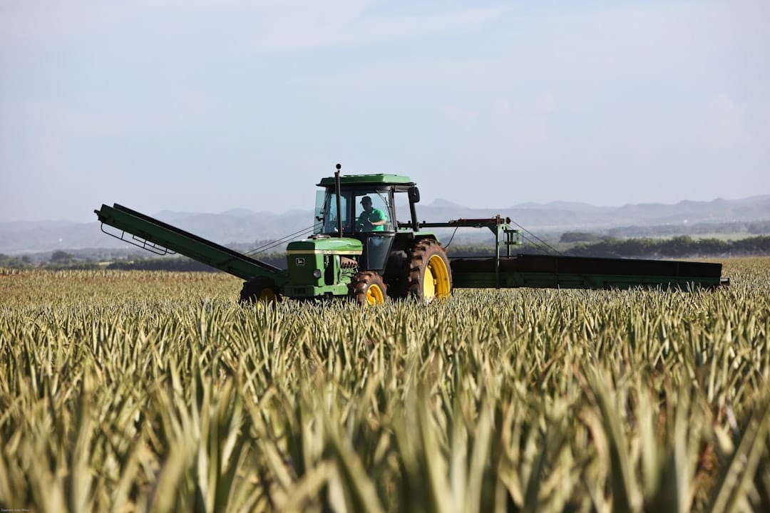 Photo Crop rotation