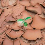 Photo Drought-stricken fields