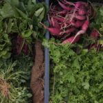 Photo Vertical farming