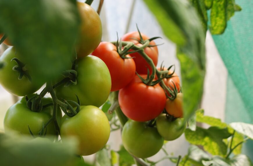 Photo Organic pesticides