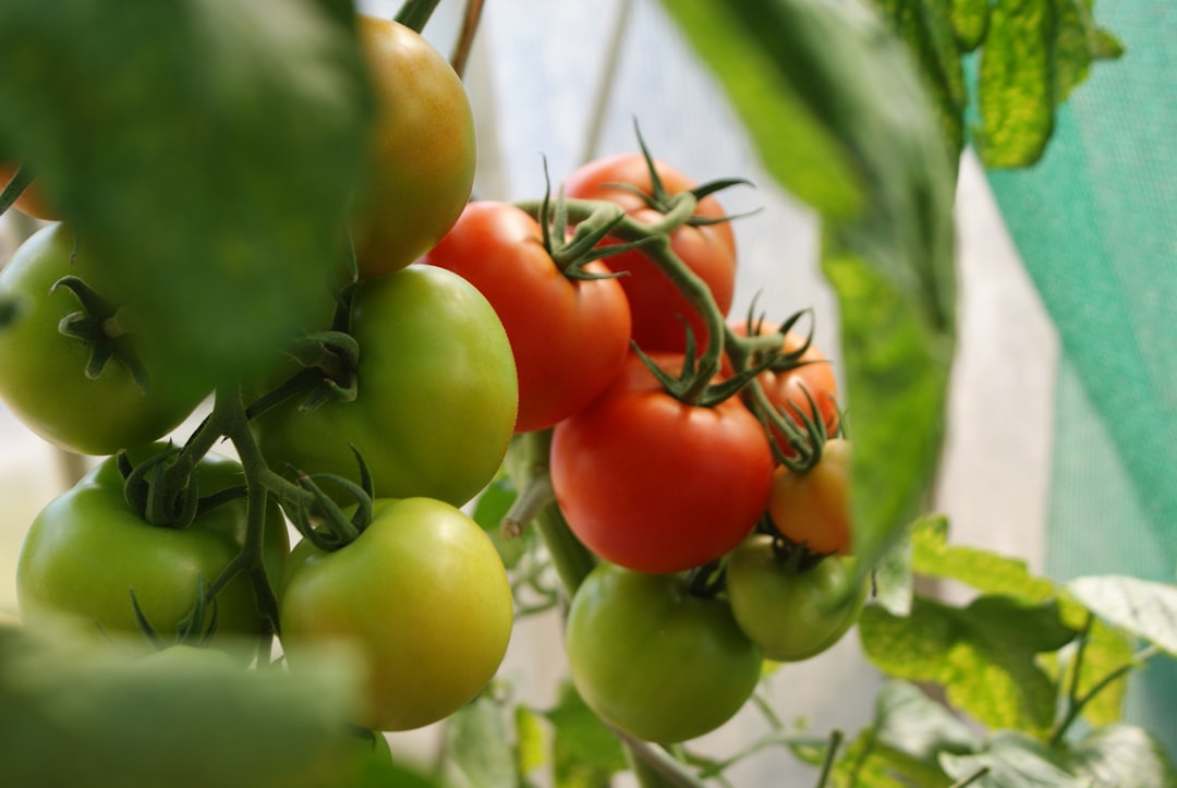 Photo Organic pesticides