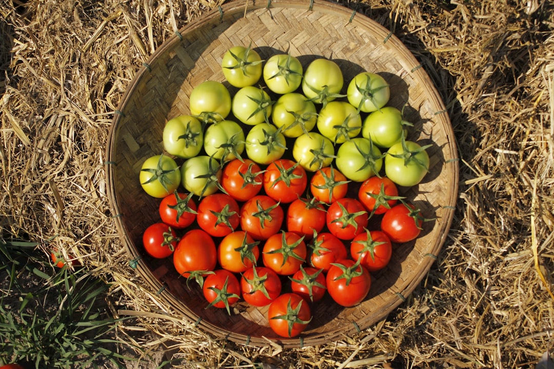 Photo Crop rotation