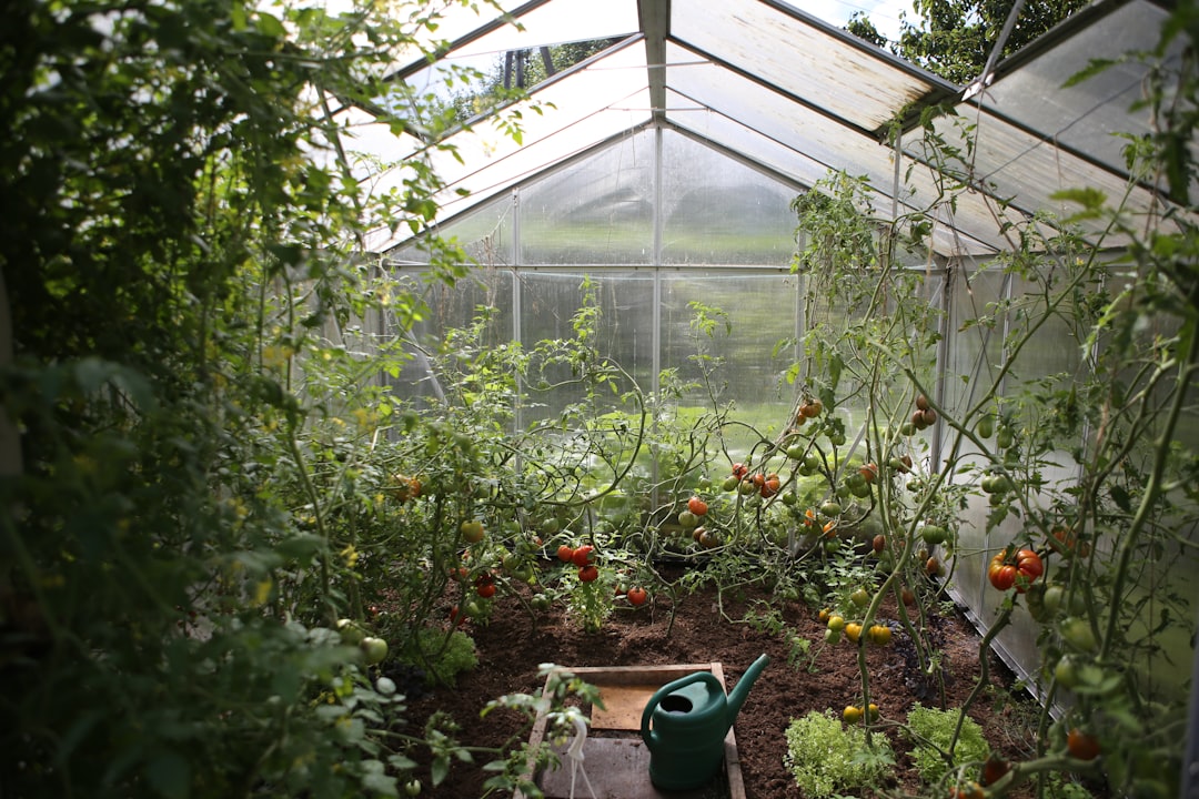 Photo Greenhouse farming